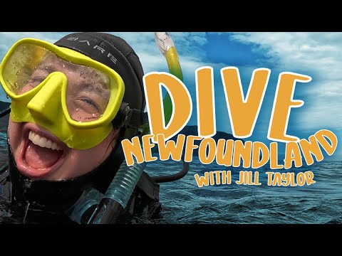 Dive Newfoundland with Jill Taylor - Exclusive Clip | Fibe TV1
