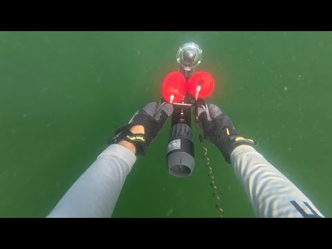 Diving after Hurricane Milton