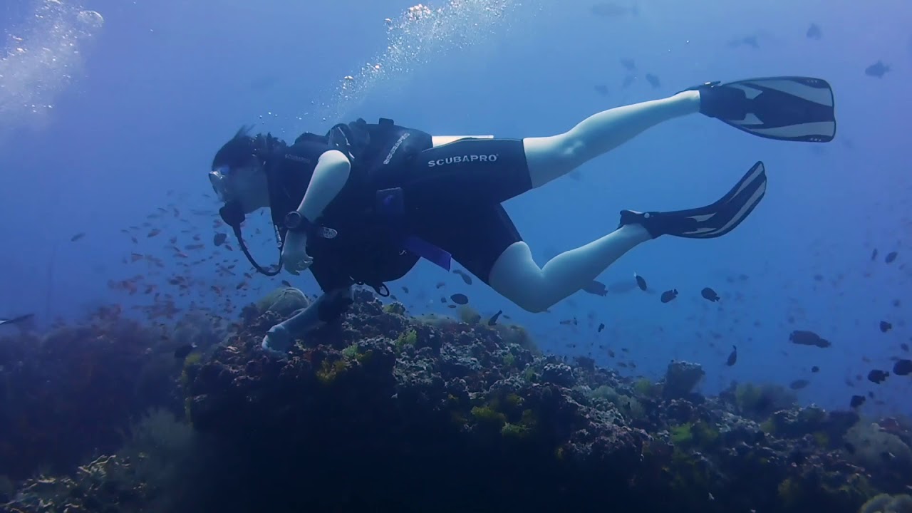 Diving with Dive Butler Finolhu / Baa Atol / Maldives - 8th April 2018