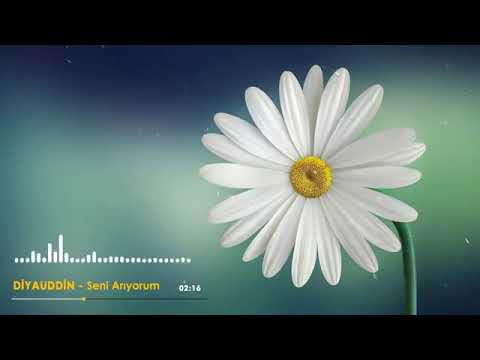 Diyauddin - Seni Arıyorum
