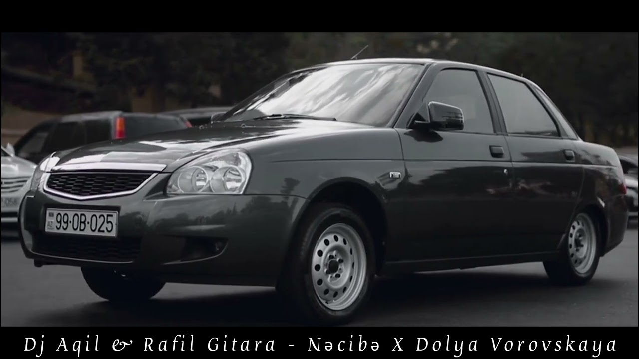 Dj Aqil & Rafil Gitara - Necibe X Dolya Vorovskaya (Remix 2024)
