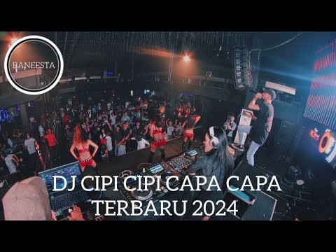 DJ CIPI CIPI CAPA CAPA TERBARU 2024