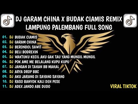 DJ GARAM CHINA X BUDAK CIAMIS REMIX LAMPUNG PALEMBANG FULL SONG VIRAL TIKTOK TERBARU 2025
