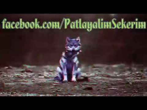 Dj Saifox (lexta music ) 2019 شاهد ماذا سيفعل بك هذا الفيديو