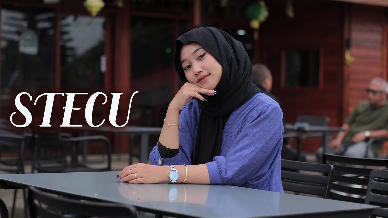 DJ STECU STELAN CUEK || VIRAL TIKTOK 2025