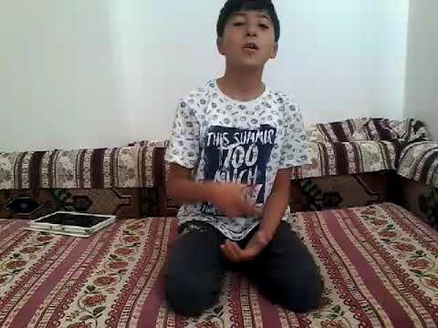 Dls 19 bjk yama