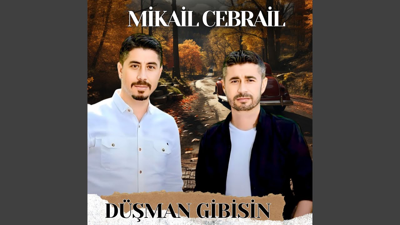 Düşman Gibisin