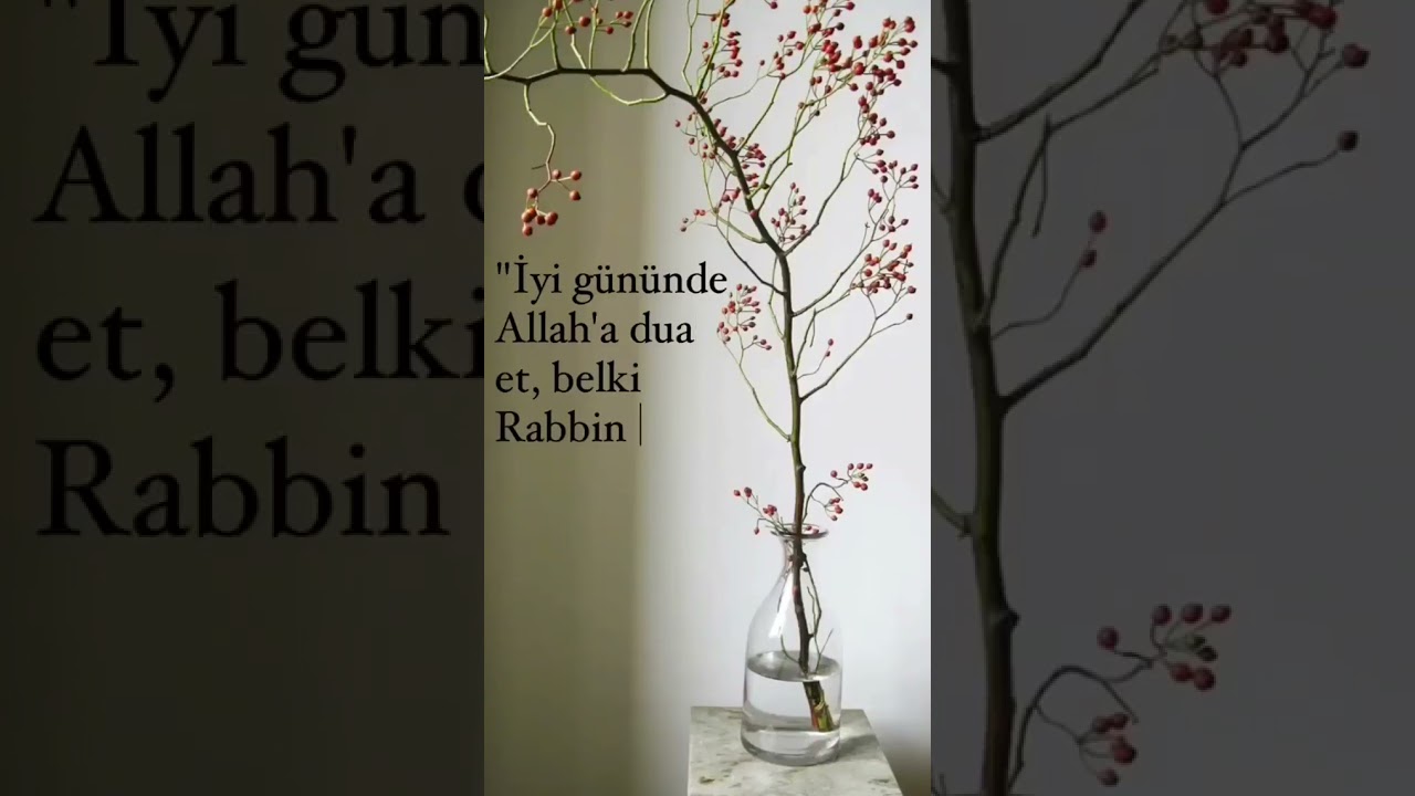 DİNİ KISA VİDEO, Anlamlı Videolar - WhatsApp Durum Video