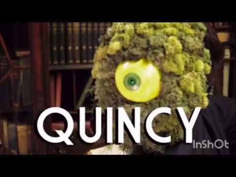 DNA productions quincy 20th Television animation