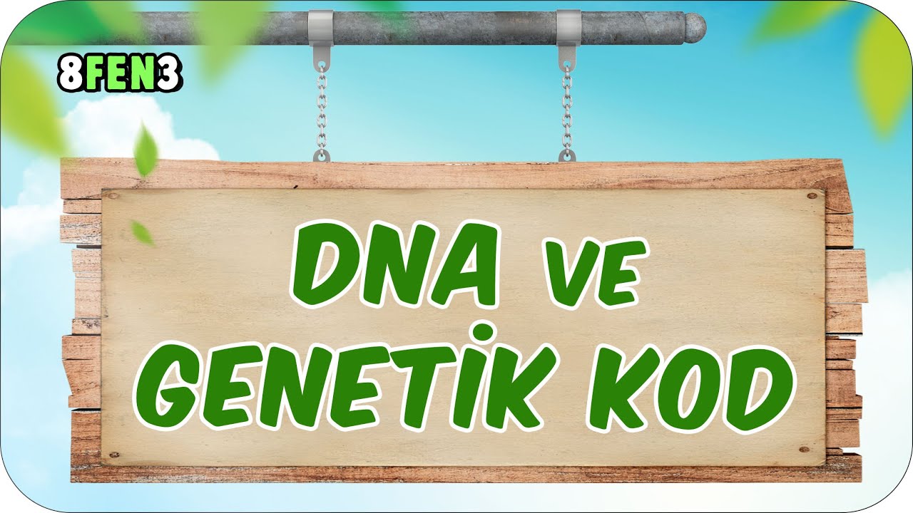 DNA ve Genetik Kod 🧬 tonguçCUP 1.Sezon - 8FEN3 #2024LGS