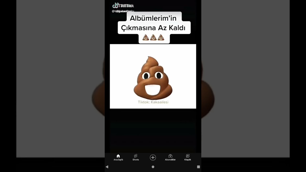 dünyanın en komik şarkısı