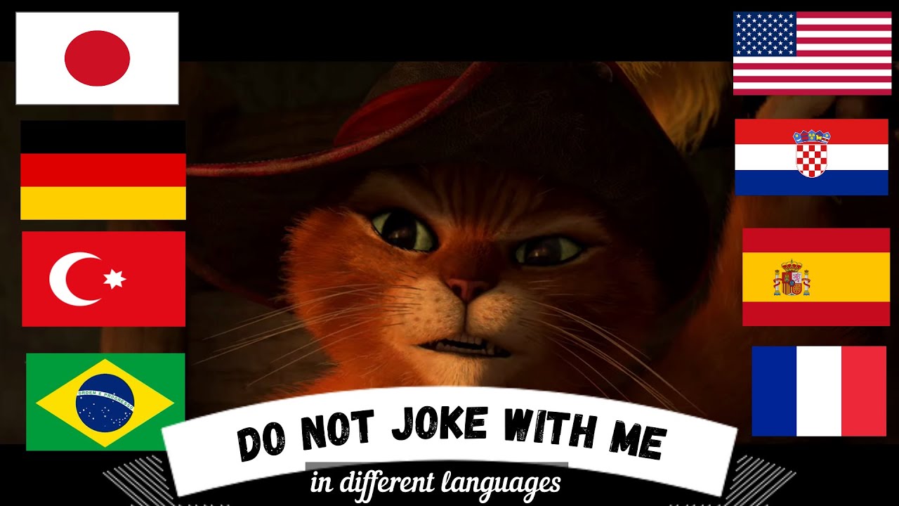 Do not joke with me in different languages by Puss in Boots