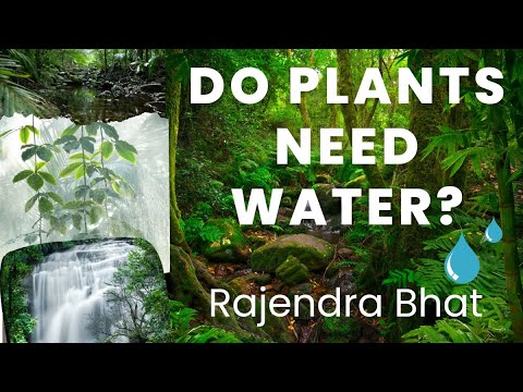 Do Plants Need Water ? Rajendra Bhat , NisargMitra , Badlapur