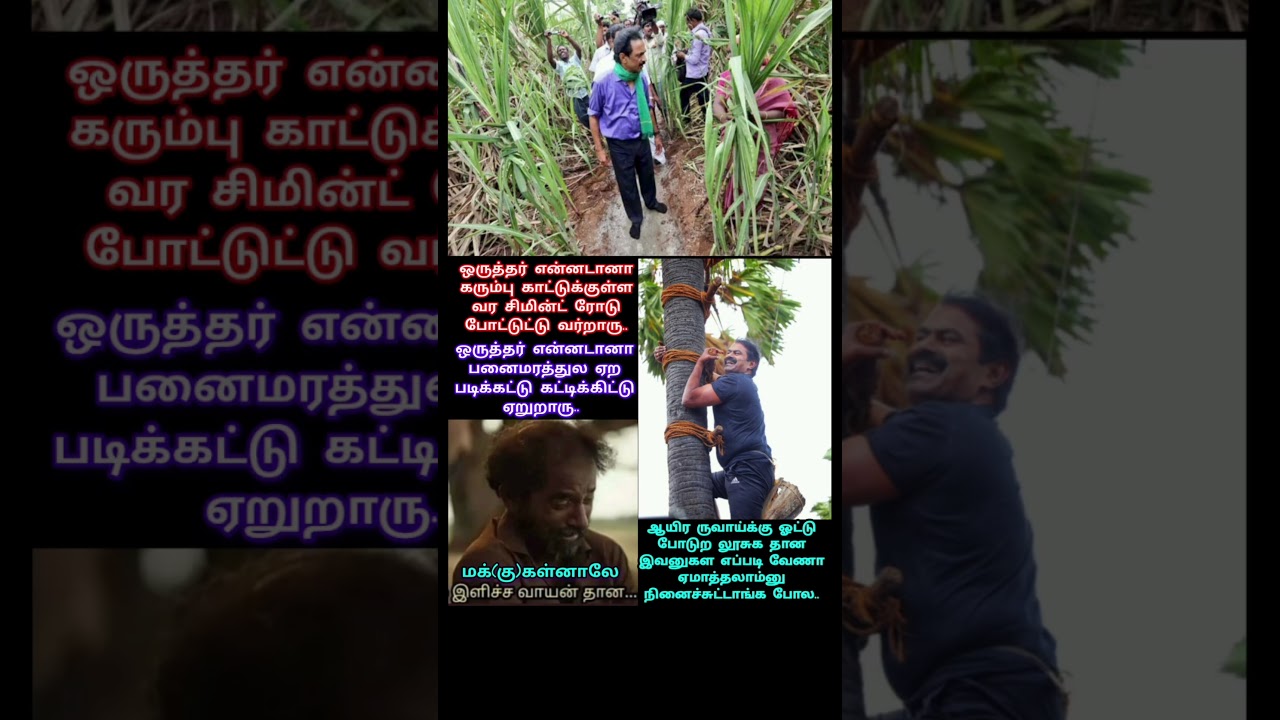 Do we guys look like that kenam? #dmk #ntk #mkstalin #seeman #admk #bjp #tvk #tnpolitics