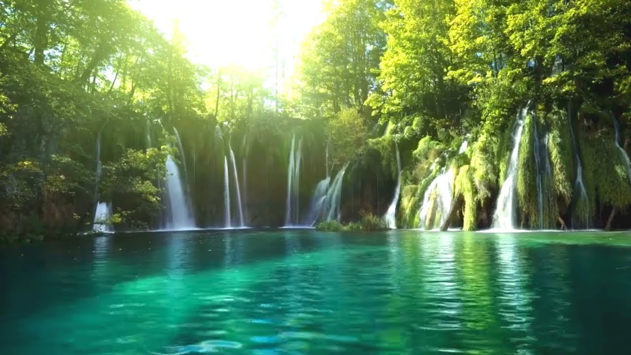 Doğayla dinlendirici müzik, Orman Şelale, Zen,Doğa sesleri ile rahatlatıcı müzik , şifalı müzik