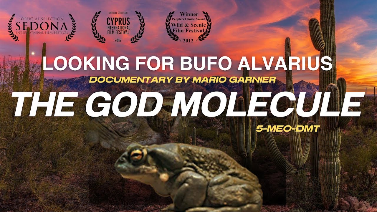 Documentary Bufo Alvarius & 5-meO- DMT  by Mario Garnier. Documental 