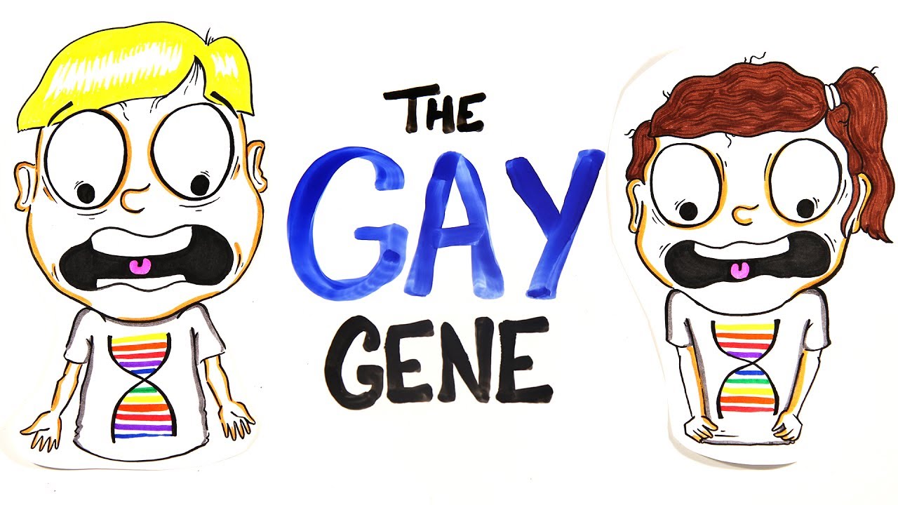 Does Everybody Have A Gay Gene?