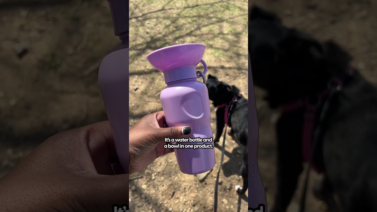 Dog 2 In 1 Travel Water Bottle | The Pack