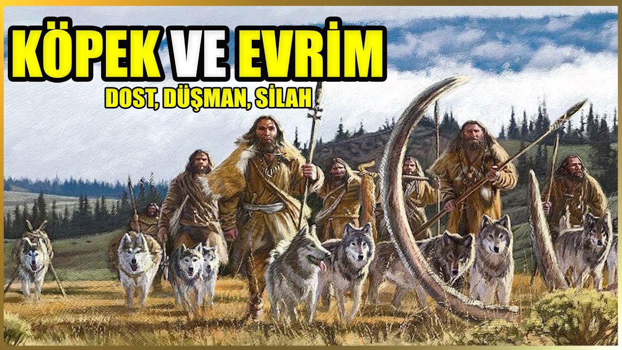 Dog and Human Evolution Documentary | Episode 1