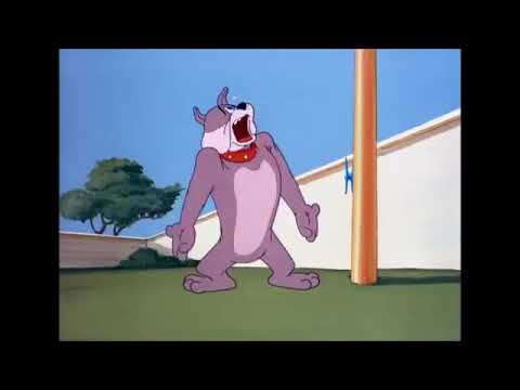 dog cartoon