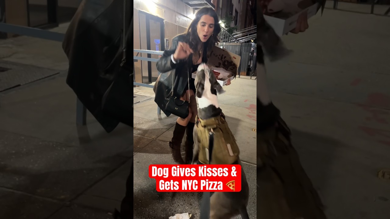 Dog Gives Kisses & Gets NYC Pizza From Girls #cutedog #doglover #pizza #pizzalover #dogshorts #dogs