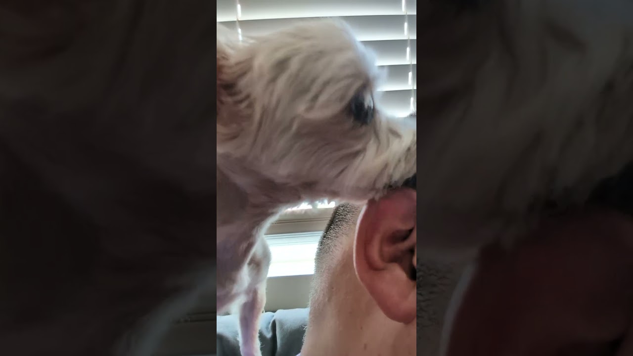 dog licks ear... uncomfortable 🥵