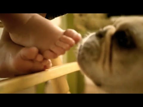 Dog Licks Feet