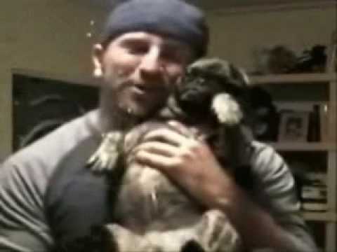 Dog Pees In Guys Face