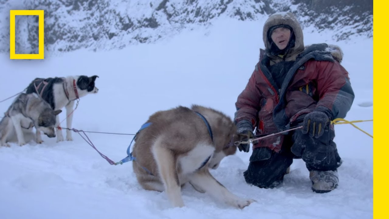 Dog Sledding in the Winter Terrain | Life Below Zero
