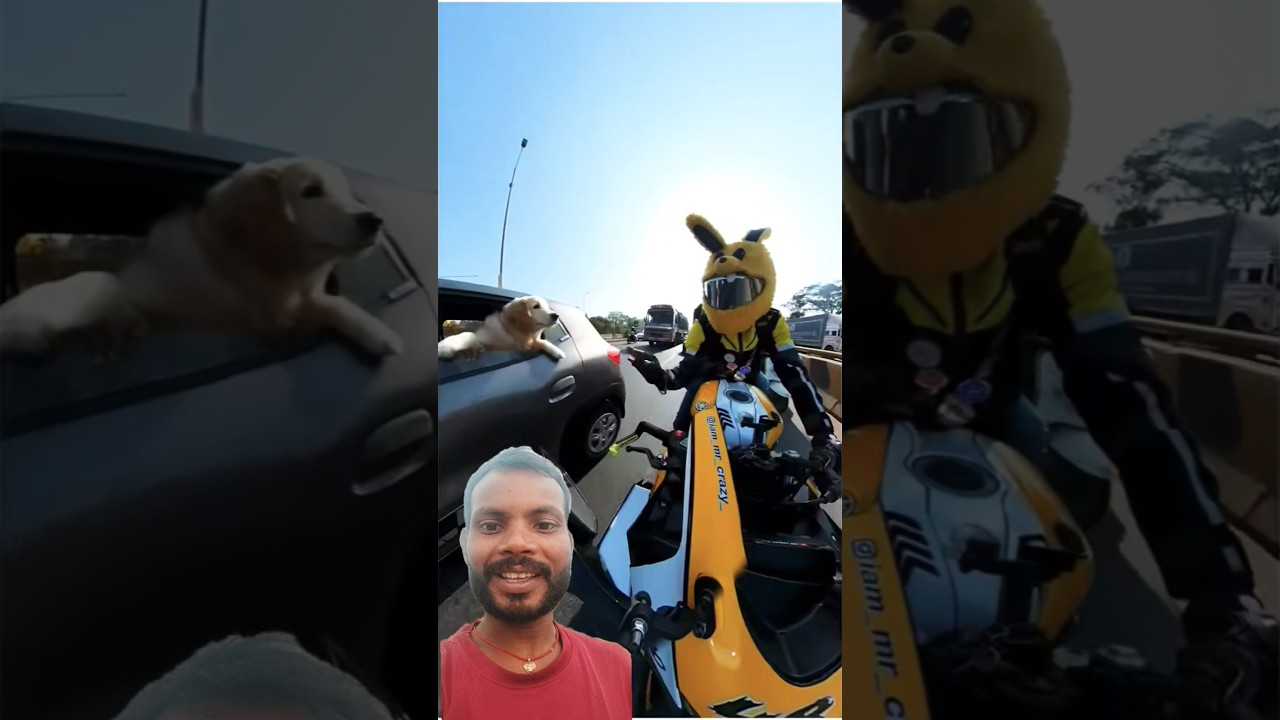 Dog_Reaction #funny #shortvideos #viralshorts #tarendingshorts #shortsfeed @Rvlogs75