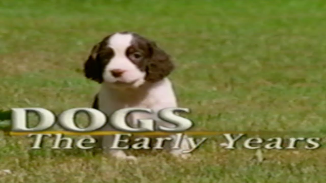 Dogs - The Early Years (2001) — Nature: Dogs [VHS Rip / Digitization] PBS Documentary, Animals, Pets