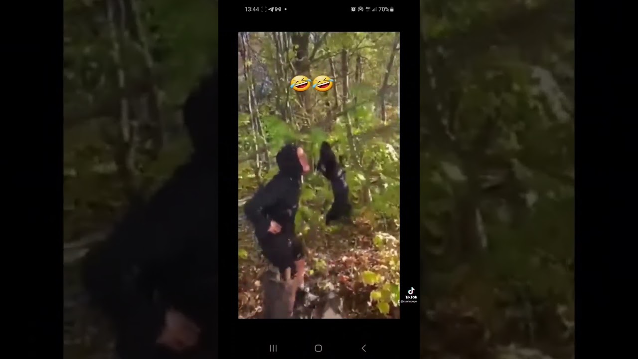 dogs gone nuts 🤣 #dogs #patterdale #funny #lmao #fyp #viral #youtubeshorts #kids #lol #reels #shorts