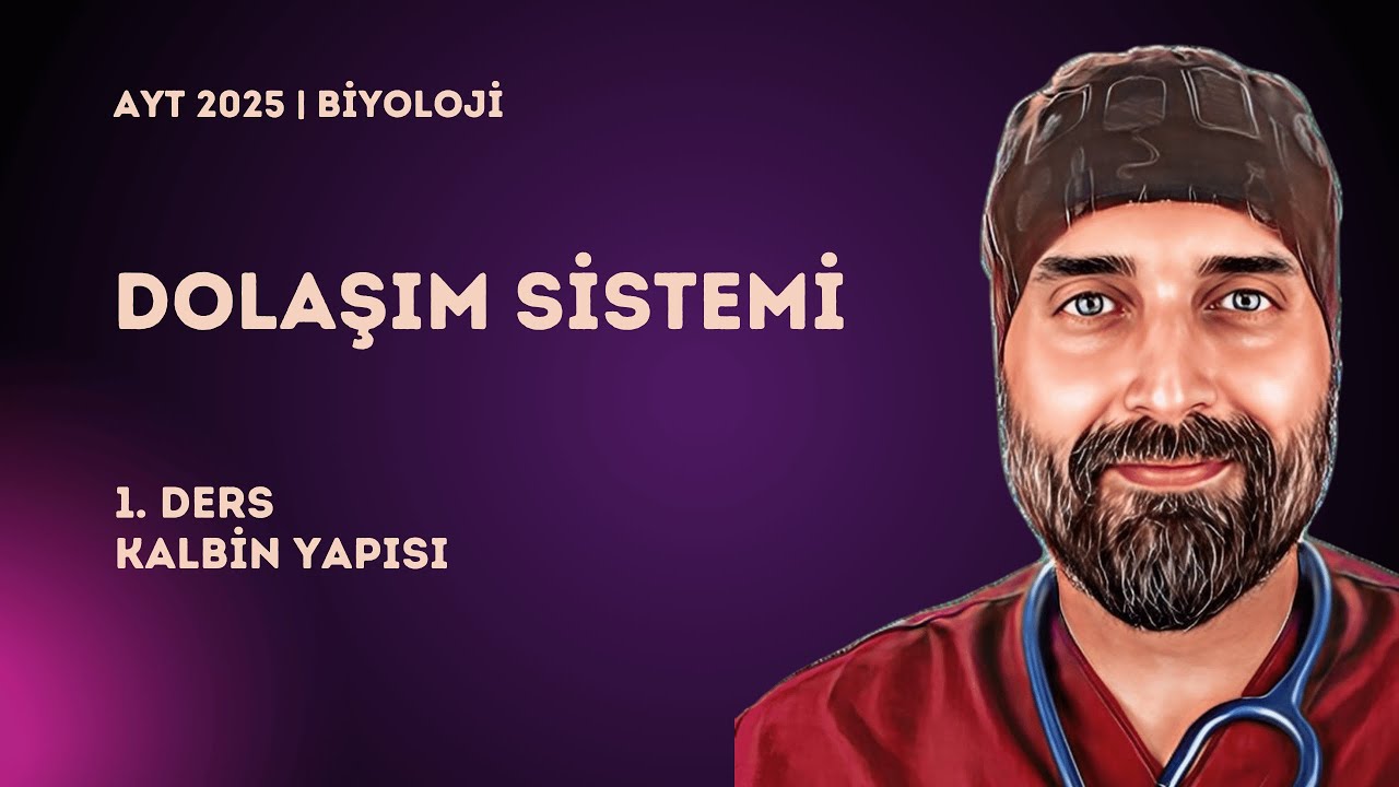 Dolaşım Sistemi | 1. Ders Kalbin Yapısı | 2025 - YKS
