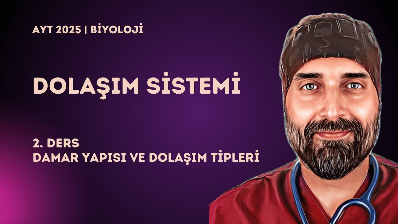 Dolaşım Sistemi | 2. Ders Damar Yapısı ve Dolaşım Tipleri | 2025 - YKS