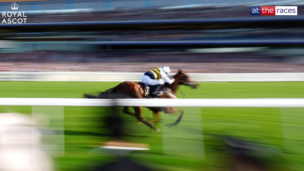 Dominant! | SOBER hacks up for Ryan Moore and Willie Mullins in the Queen Alexandra Stakes!