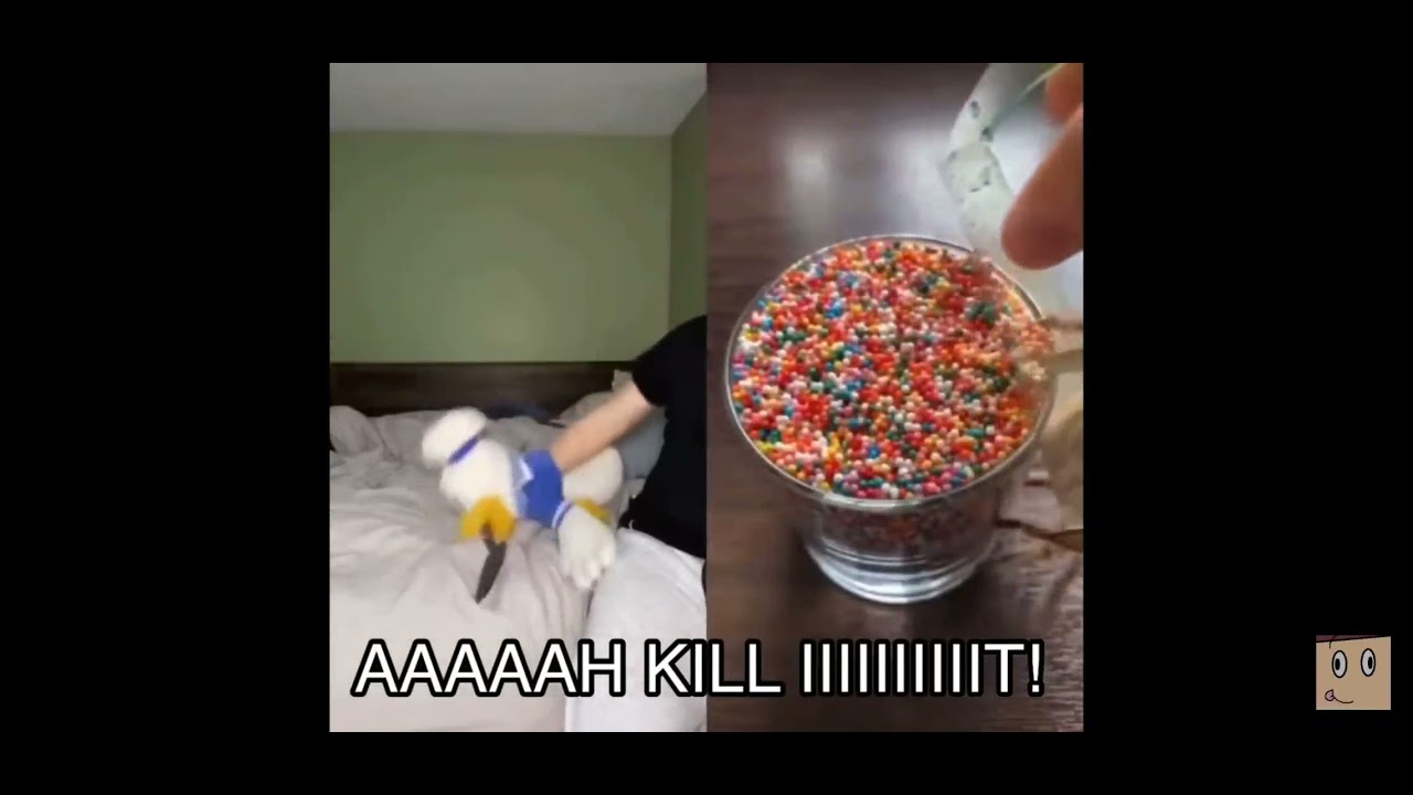 donald ducc screaming but only scream [PART 2] (MOST VIEWED VIDEO!)