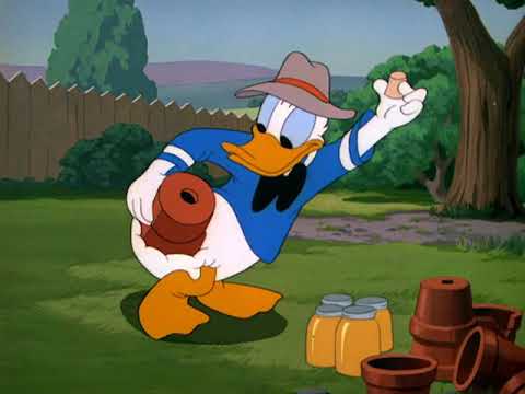 Donald Duck - 