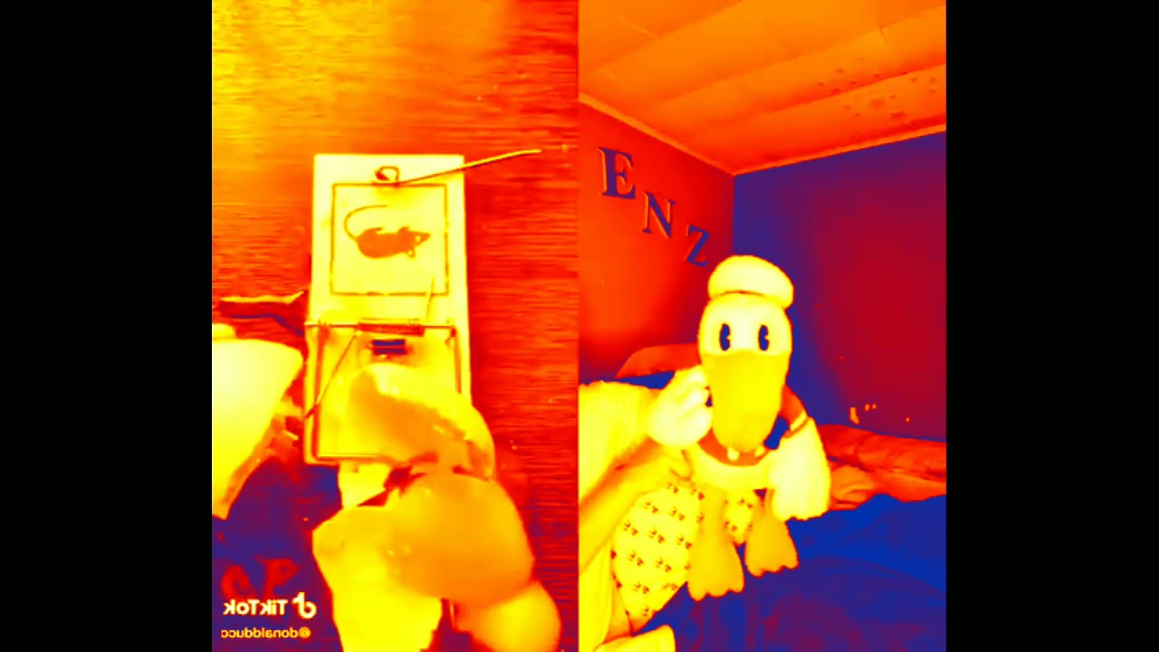 Donald Duck And The Mouse Trap In Robot Flip