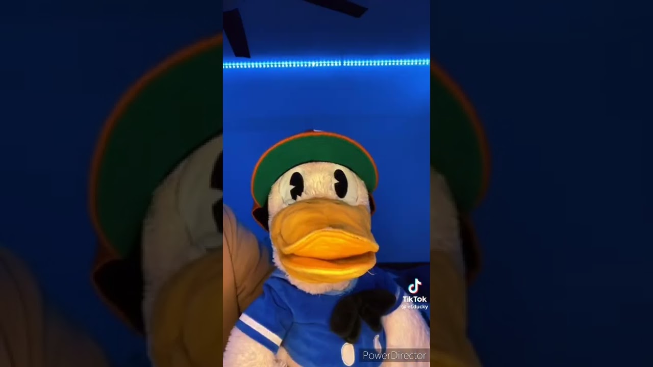 Donald Got His Revenge on Goofy