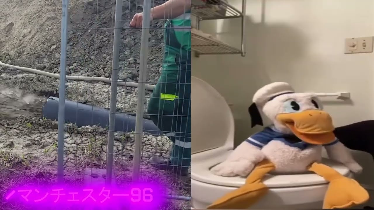 DonaldDucc Pooping (Meme)