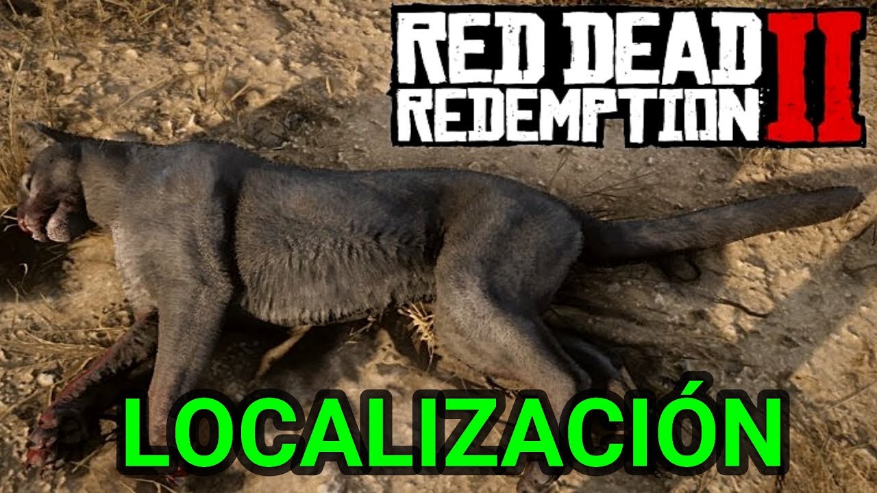 ¿Donde cazar PUMAS en Red Dead Redemption 2?