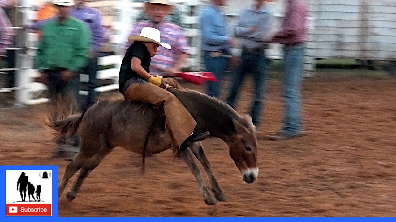 Donkey Riding 🤘 2021 Saint's Roost Ranch Rodeo | Saturday