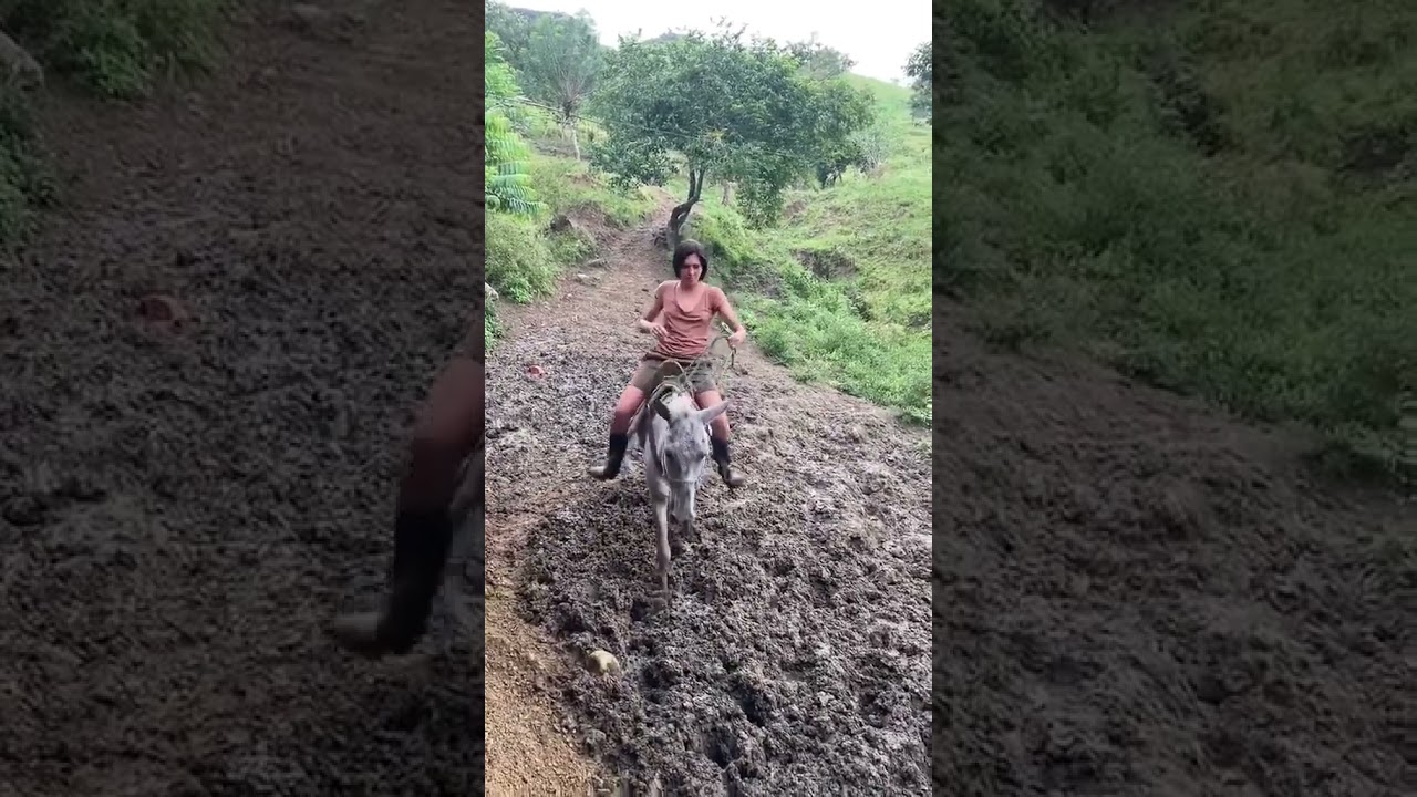 Donkey Riding