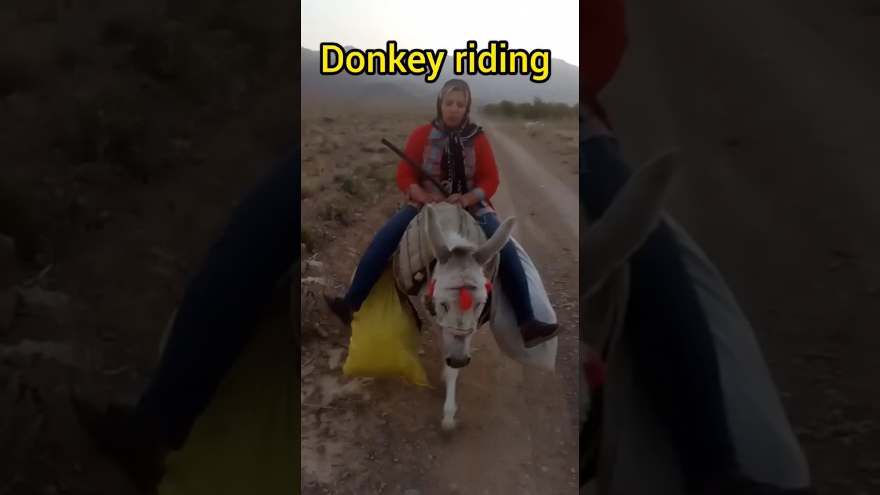 Donkey riding #nomadicfamily