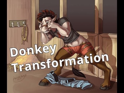Donkey Transformation / Donkey TfTg