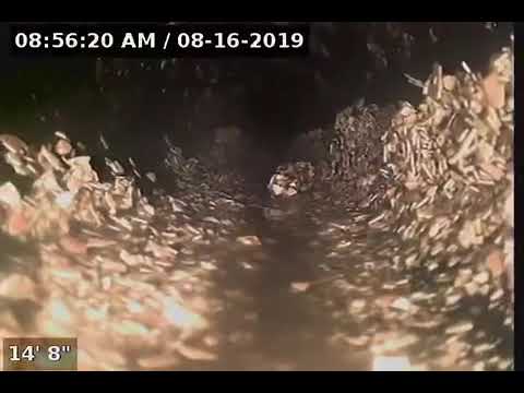 Don’t EVER put eggshells in a disposal