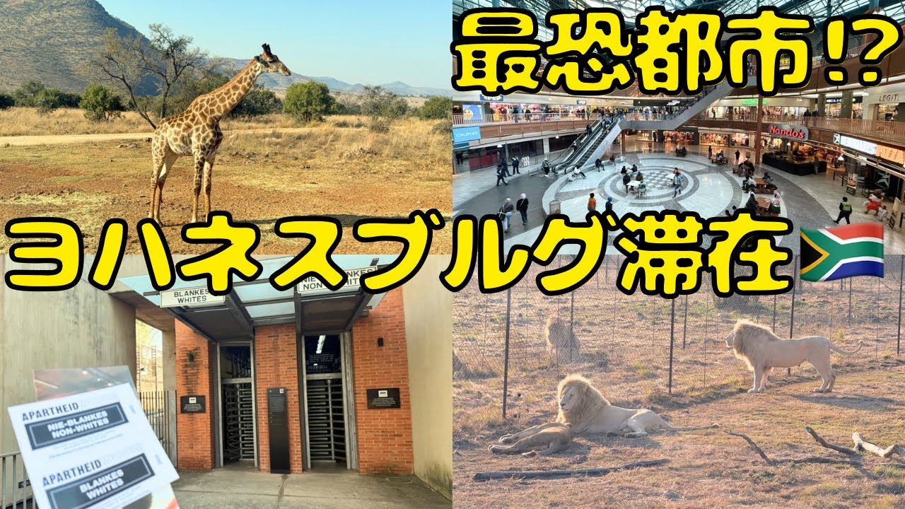 [Don't go! I've been told...] This is what happens if you stay in Johannesburg, South Africa🇿🇦.