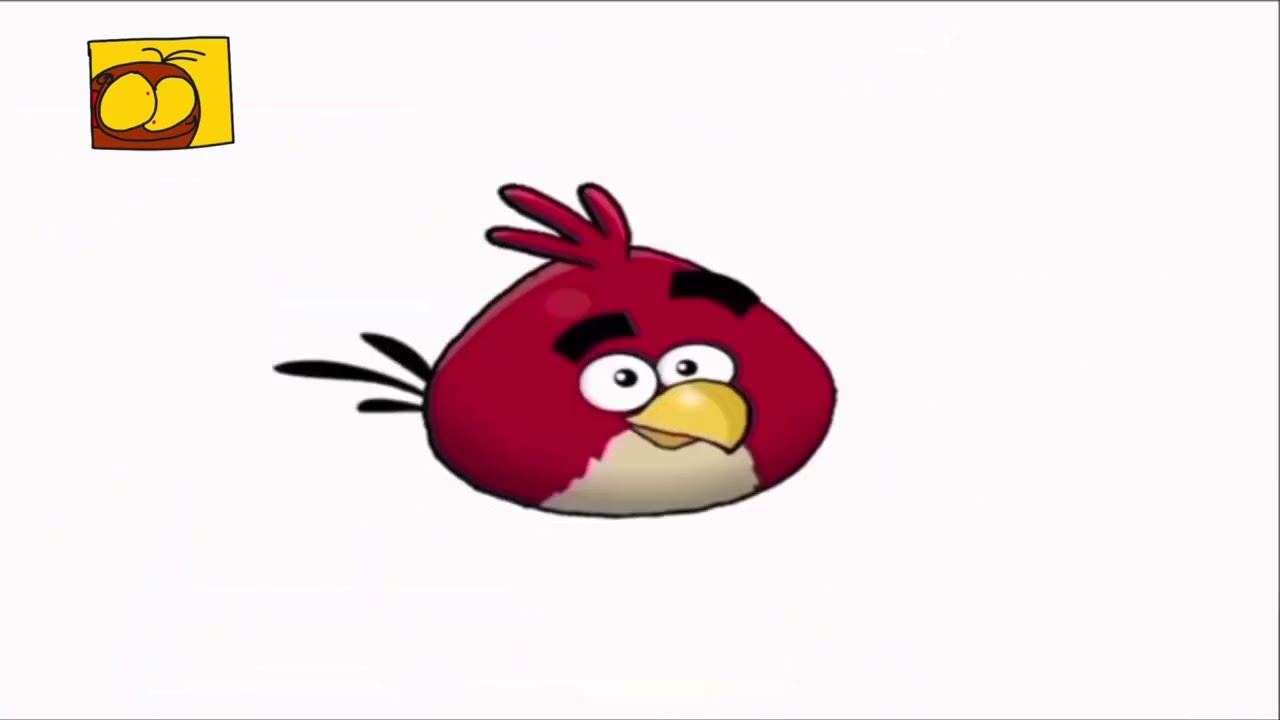 Doowee mania on channel 1 toons (2023)