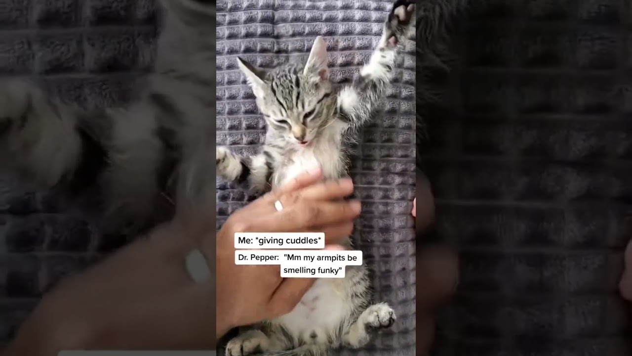 DR. PEPPER LICKING HIS ARMPIT 🤣