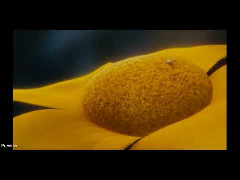 Dr Seuss Horton Hears Who